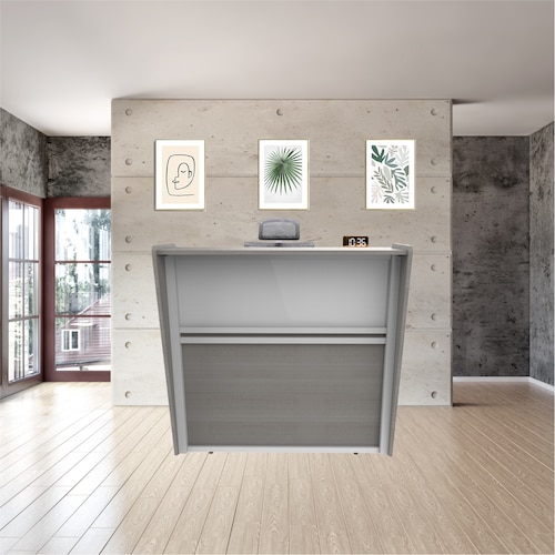 Recepción Recta con Policarbonato Modular Trento Mod.Z554
