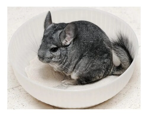 Arena Para Baño De Chinchillas 2.5kg