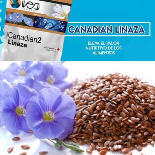 Canadian 2 Ives Evolution México Linaza Canadiense Entera Cultivo Orgánico 600 Gr..