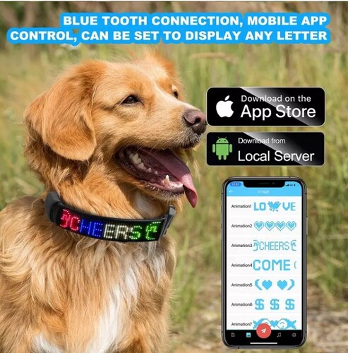 Collar Inteligente Para Perro Recargable
