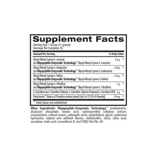 Aminoacidos BPI  Sport Best Aminos 25 Serv. 250g
