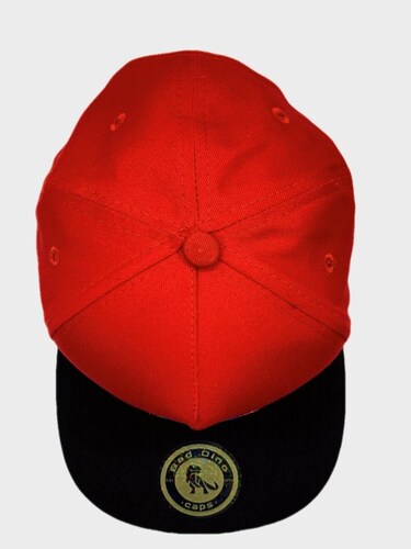 Gorra Premium Bad Dino The World Is Yours Snapback Original