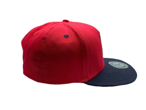 Gorra Premium Bad Dino The World Is Yours Snapback Original