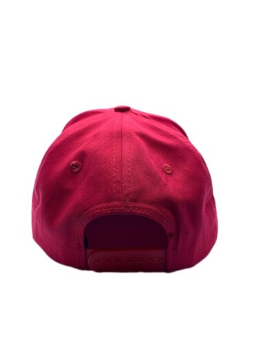 Gorra Premium Bad Dino The World Is Yours Snapback Original