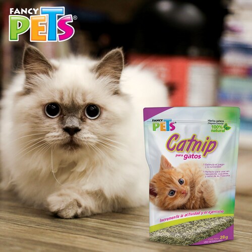 Catnip Gatos Hierba Gatuna 28G Fancy Pets Nepeta cataria 