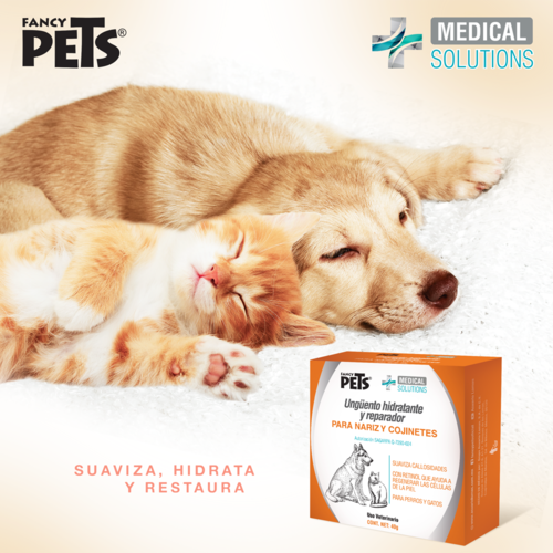 Ms Ungüento Hidratante Y Reparador Patas Y Nariz Perros 40g 