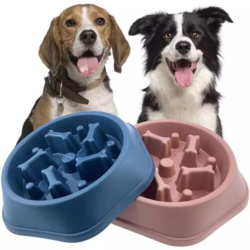 PLATO PARA PERRO DIGESTION ALIMENTACION LENTA