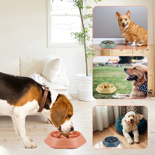 PLATO PARA PERRO DIGESTION ALIMENTACION LENTA