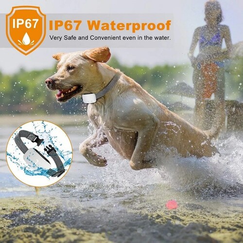 Collar Antiladridos De Adiestramiento Para Perros Automático