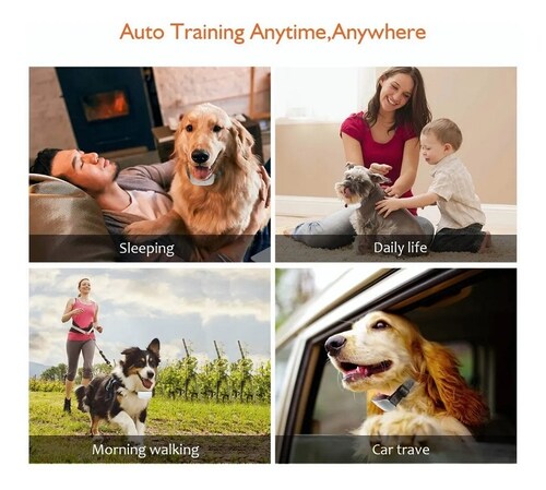 Collar Antiladridos De Adiestramiento Para Perros Automático
