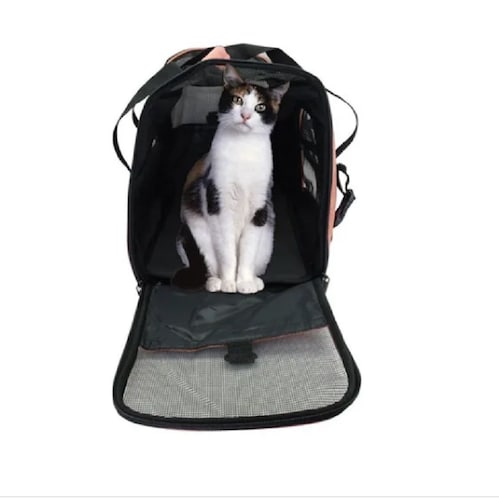 Bolsa Transportadora Para Perros Y Gatos Grande Beige