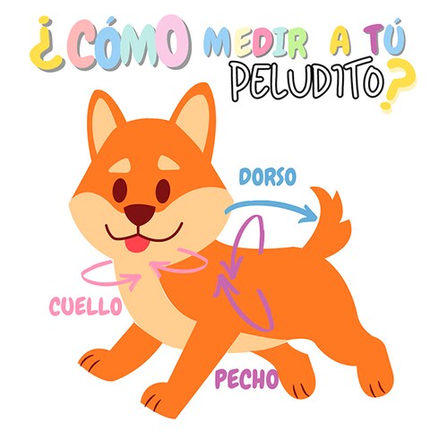 Sudadera Conejo para Mascotas de la Marca Mascotti Talla XXL