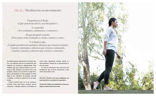 Mi diario de yoga. Cuerpo y mente sanos en 4 semanas. Edición revisada y actualizada