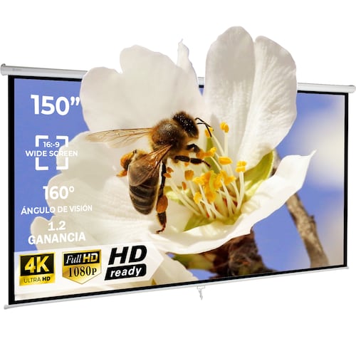 Pantalla Proyector Manual 150' Blackout 16:9 Quick Release