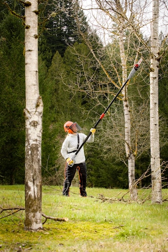 Motosierra Eléctrica Telescópica Oregón Con Barra de 8" Americana Para Arboles y Arbustos altos PS750