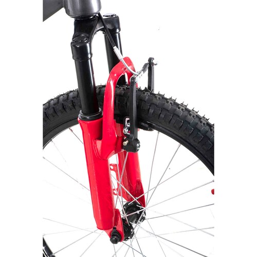 Bicicleta Veloci Nautilus Rodada 20 Gris De Montaña