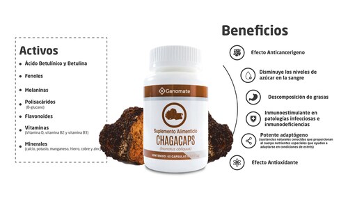 Chaga ,Inonotus obliquus .Chagacaps