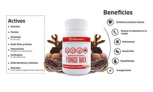 Fungi Mix : Champiñon del sol ,Cola de pavo ,Cordyceps ,Chaga