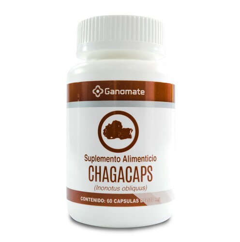 Chaga ,Inonotus obliquus .Chagacaps
