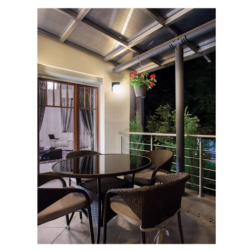 Arbotante de LED tipo globo Volteck Luz Cálida ARB-001L