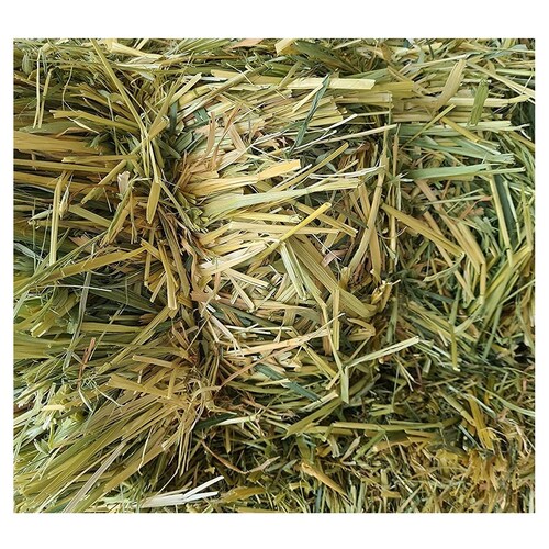 Alimento Para Cuyo Cobaya Conejo Avena Heno Deshidratado 700 laazootea.