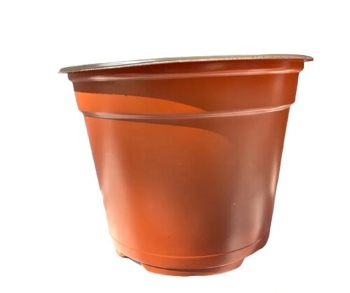 Macetitas 3 Pulgadas Terracota 100 Macetas Cactus