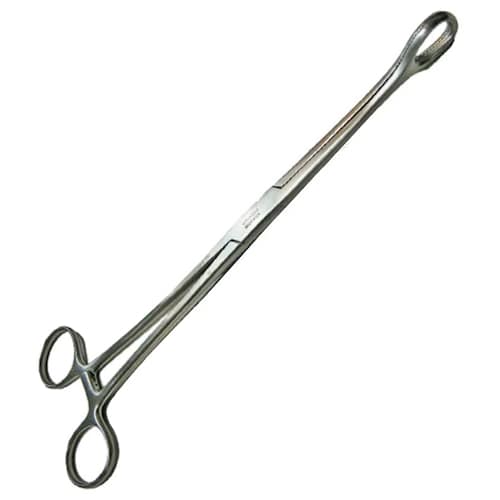 Pinza Forester Recta 24cm Porta Esponjas Hergom Silvery