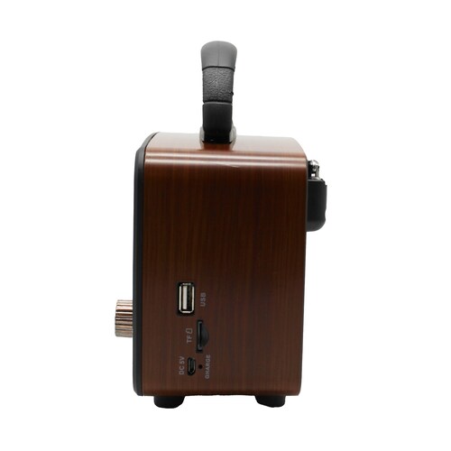 Radio Retro Clásico AM FM Con Bluetooth MP3 TF USB YX-0671 Dorado