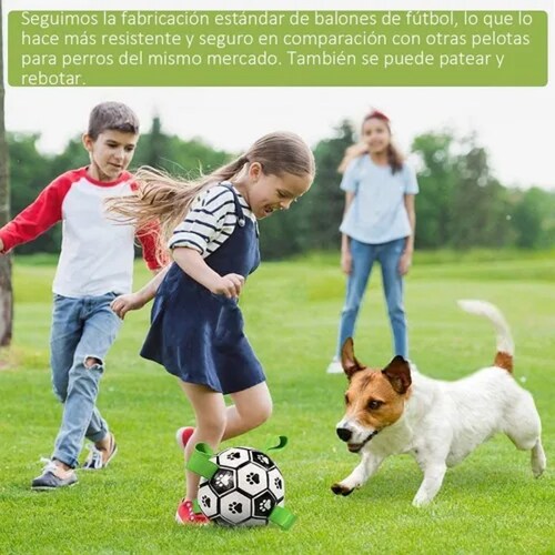 Juguetes Para Perros Balón De Fútbol Juguete Multifuncional.