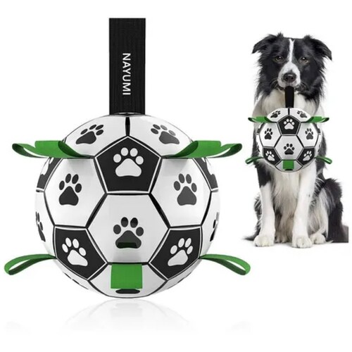  ALL FOR PAWS Juguete interactivo para perros Fetch-N