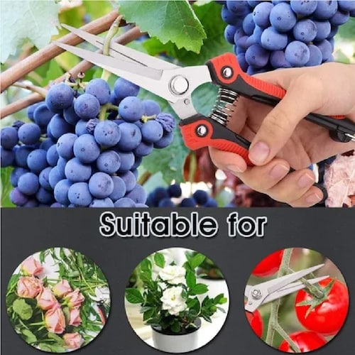 Kit Herramientas De Jardín Suculentas Con Tijeras De Podar
