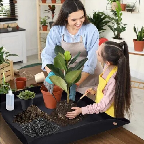 Kit Herramientas De Jardín Suculentas Con Tijeras De Podar