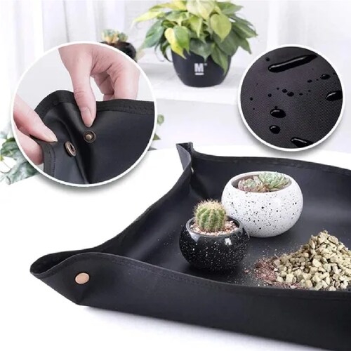 Kit Herramientas De Jardín Suculentas Con Tijeras De Podar