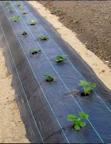 Ground Cover O Malla Antimaleza NEGRO 2MX100M