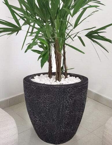 Maceta Minimalista Negro Cilíndrica mejor Que Fibra De Vidrio