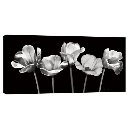 Cuadros Decorativos - Tulipanes por la noche