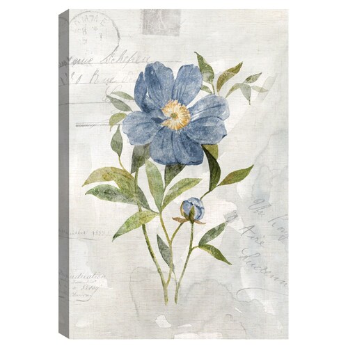 Cuadros Decorativos - Peonía de lino azul