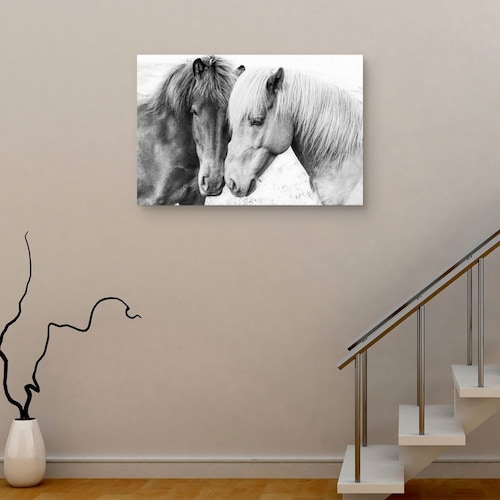 Cuadros Decorativos - Amor por los caballos