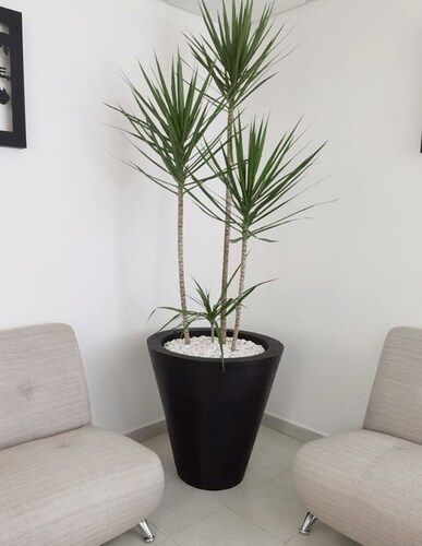 Maceta Minimalista Cono Mejor Que Fibra De Vidrio