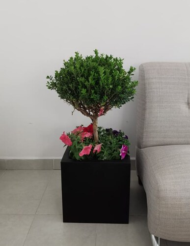 Maceta Minimalista Cubo Mejor Que Fibra De Vidrio