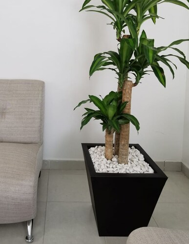 Maceta Minimalista Piramidal Mejor Que Fibra De Vidrio
