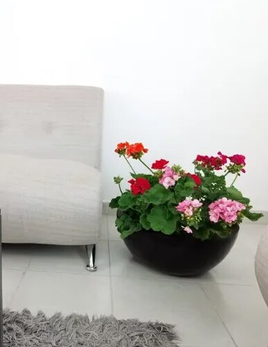Maceta Minimalista Tazón Mejor Que Fibra De Vidrio