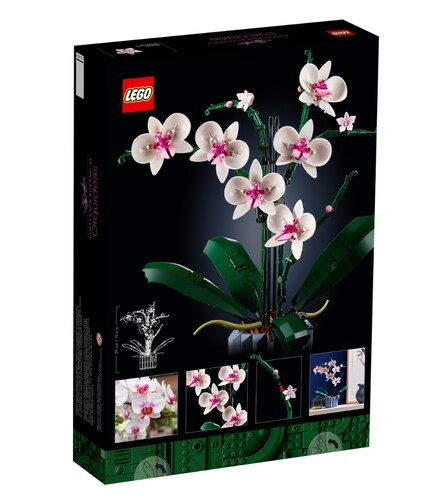 Flores Secas Decorativas Para Uñas Manualidades 12 Pack