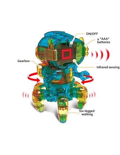 ROBOT BOB