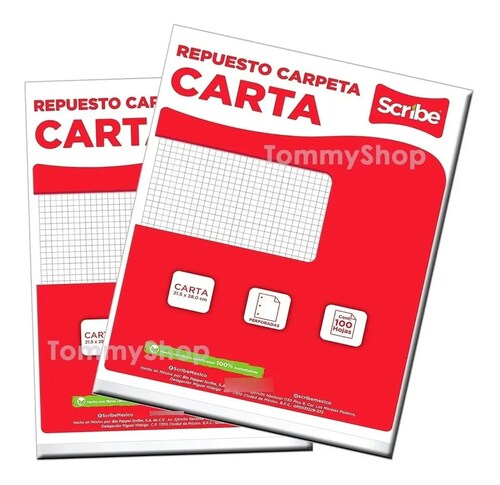 Hojas De Repuesto Para Carpeta Cuadro Chico Tamaño Carta 3 Orificios.