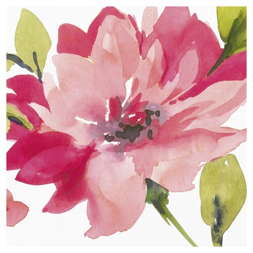 Cuadros Decorativos - Flor carmesi I de Sandra Jacbos