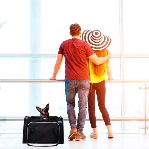 Transportadora Maleta y/o Mochila para Mascotas Pet Boutique Plegable, Expandible y con Ventilación, ideal para viajes en avión, coche o paseos