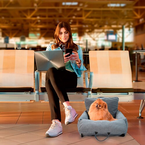 Cama y/o asiento de viaje Mascotas perro o gato Tv Ofertas Gris Convertible Extra Acolchada 2 en 1 