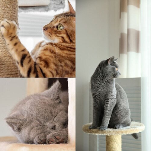 Mueble Rascador Para Gatos Uñas 120cm Casa Hamaca Escalera