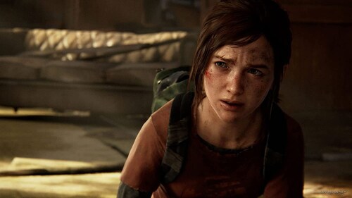The Last Of Us Part 1 Compatible PS5